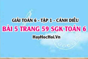Giải bài 5 trang 59 Toán 6 Tập 1 SGK Cánh Diều